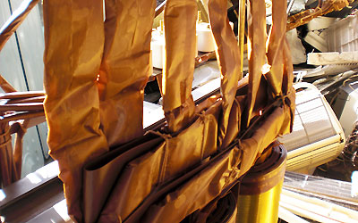 ¥È¥é¥ó¥¹¥³¥¢Æ¼¡¦Âç